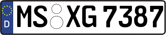 MS-XG7387