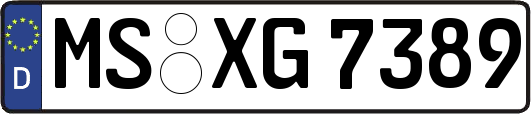 MS-XG7389