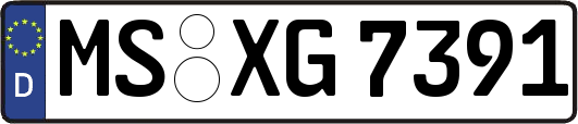 MS-XG7391