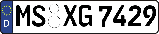 MS-XG7429