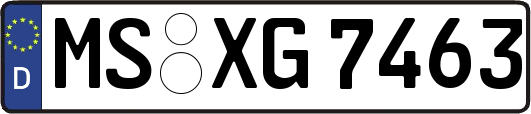 MS-XG7463