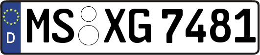 MS-XG7481