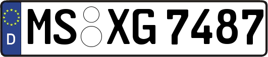 MS-XG7487