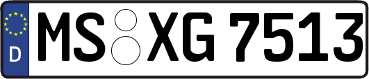 MS-XG7513