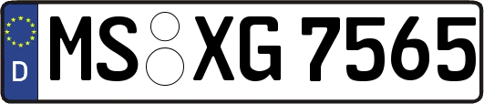 MS-XG7565