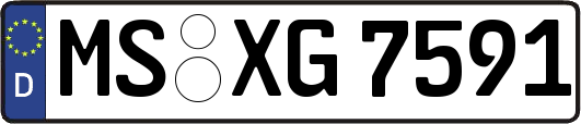 MS-XG7591