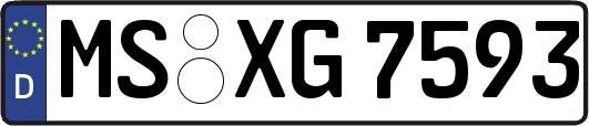 MS-XG7593