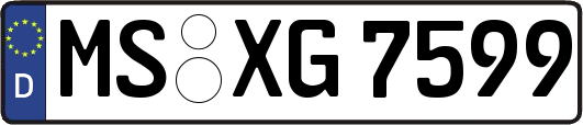 MS-XG7599
