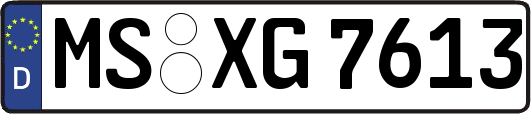 MS-XG7613