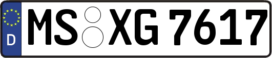 MS-XG7617