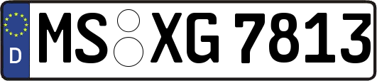 MS-XG7813