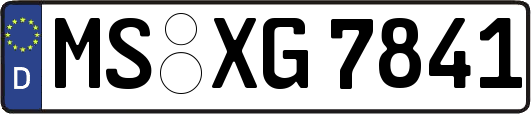 MS-XG7841
