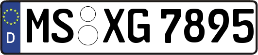 MS-XG7895