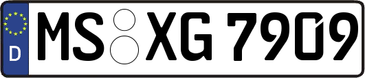 MS-XG7909
