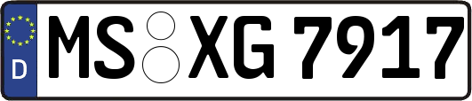 MS-XG7917