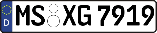MS-XG7919