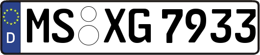 MS-XG7933