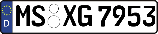 MS-XG7953