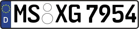 MS-XG7954