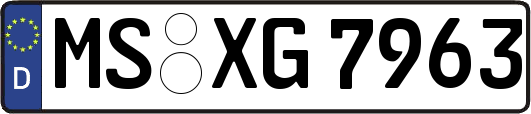 MS-XG7963