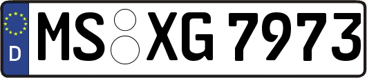 MS-XG7973