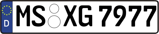 MS-XG7977