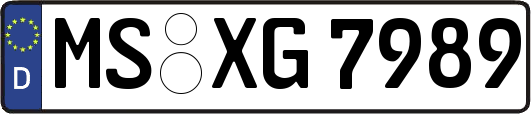 MS-XG7989