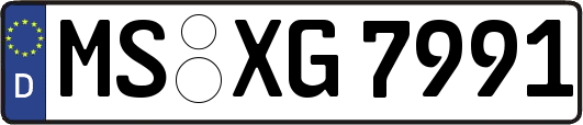 MS-XG7991