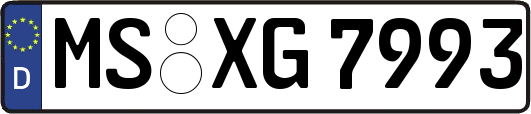 MS-XG7993