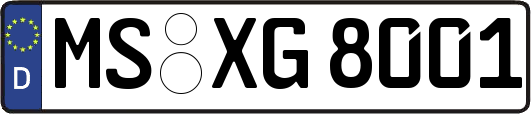 MS-XG8001