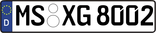 MS-XG8002