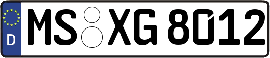 MS-XG8012
