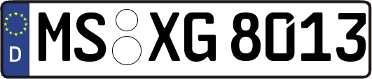 MS-XG8013