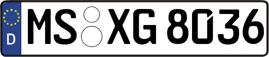 MS-XG8036