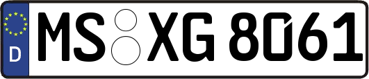 MS-XG8061