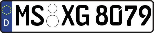 MS-XG8079
