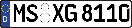 MS-XG8110