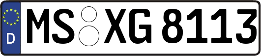 MS-XG8113