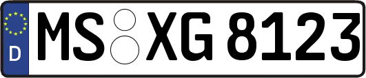 MS-XG8123