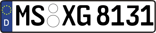 MS-XG8131