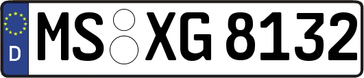 MS-XG8132
