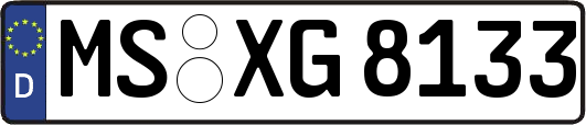 MS-XG8133