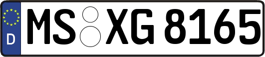 MS-XG8165