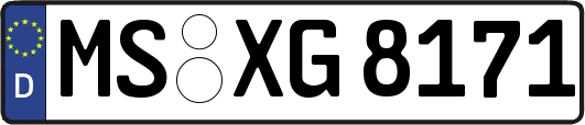 MS-XG8171