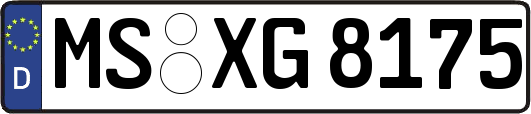 MS-XG8175
