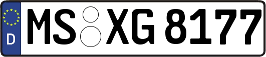 MS-XG8177