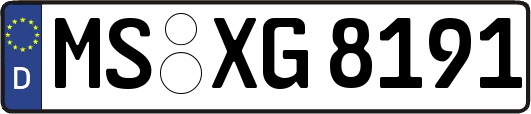 MS-XG8191