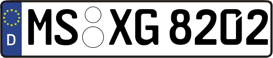 MS-XG8202
