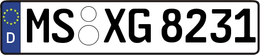 MS-XG8231