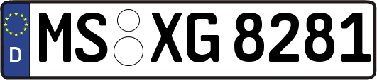 MS-XG8281